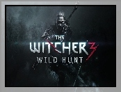 Wiedźmin 3:Dziki Gon, Geralt