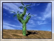 Wielki, Kaktus, Na pustkowiu