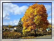 Wieś, Jesień, Drzewa, Pola, Chmury