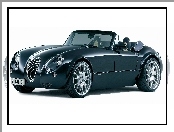 Wiesmann MF3, Halogeny, Lusterka