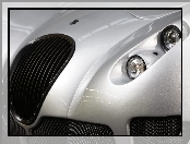 Wiesmann GT MF5, Grill