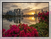 Zatoka Marina Bay, Kwiaty, Wieżowce, Zachód słońca, Hotel Marina Bay Sands, Singapur, Most, Rzeka
