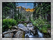 Stany Zjednoczone, Rzeczka, Indian Peaks Wilderness, Kamienie, Stan Kolorado, Góry, Drzewa, Las