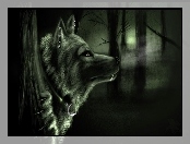 Wilk, Fantasy, Drzewa, Noc