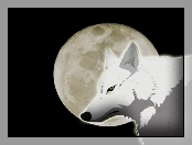 wilk, księżyc, Wolfs Rain