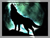 wilk, Wolfs Rain, wyje, noc