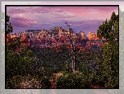 Wilson Mountains, Skały, Stany Zjednoczone, Drzewa, Sedona, Góry, Arizona