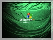 Windows XP, Home Edition