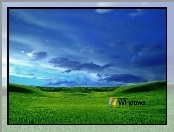 Windows XP, łąki, Chmury