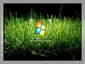 Windows 7, Trawa, Logo