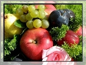 Winogrona, Owoce, Jabłka, Gruszka, Śliwki