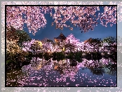 Ogród japoński, Budowle, Kwitnące, Wieczór, Staw, Drzewa, Wiśnie, Wiosna