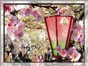 Wiosna, Kwitnące, Drzewa, Latarnia, Park