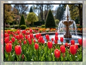 Tulipany, Drzewa, Park, Wiosna, Kwiaty, Czerwone, Fontanna