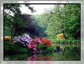 Wiosna, Rododendrony, Park, Woda