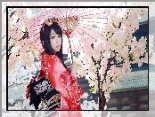 Kobieta, Wiśnia, Drzewo, Azjatka, Parasol, Kimono, Kwitnąca