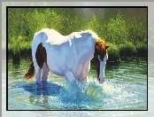 Koń, Woda, Kąpiel