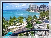 Woda, Honolulu, Hawaje, Palmy, Zabudowania