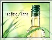 Wódka, Trawy, Żubrówka, Źdźbła