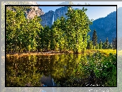 Wodospad, Rzeka, Stany Zjednoczone, Drzewa, Park Narodowy Yosemite, Góry, Kalifornia