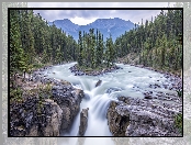 Wodospad Sunwapta Falls, Prowincja Alberta, Kanada, Rzeka Sunwapta, Park Narodowy Jasper, Góry, Drzewa