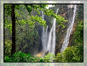 Indie, Skała, Wodospad Dźog, Rośliny, Stan Karnataka, Waterfalls Jog, Las, Drzewa