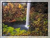 Wodospad South Falls, Oregon, Drzewa, Stany Zjednoczone, Las, Jesień, Punkt widokowy, Park miejski Silver Falls