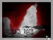 Wolfs Rain, wilk, napis