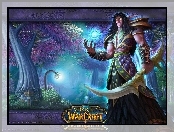 fantasy, World Of Warcraft, mężczyzna, elf, wojownik