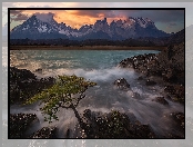 Wschód słońca, Jezioro, Chile, Cordillera del Paine, Patagonia, Park Narodowy Torres del Paine, Góry, Pehoe Lake, Skały, Drzewo