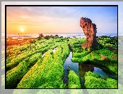 Morze, Prowincja Da Nang, Wodorosty, Wietnam, Brzeg, Skały, Wschód słońca, Plaża Nam O Beach