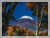 Wulkan, Góra, Fuji, Drzewa, Japonia