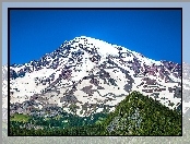 Wulkan, Lasy, Mount Rainier, Góra