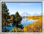 Stany Zjednoczone, Szczyt Mount Moran, Drzewa, Stan Wyoming, Park Narodowy Grand Teton, Rzeka Snake River, Góry