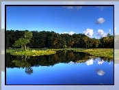 Jezioro, Wysepka, Drzewa