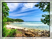 Plaża, Wyspa Phi Phi, Tajlandia, Drzewa, Morze, Kamienie