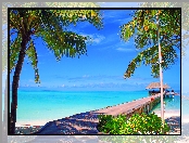 Niebo, Wyspa Nalaguraidhoo, Malediwy, Morze, Palmy, Wyspa, Pomost