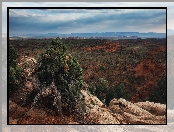 Wyżyna Kolorado, Stan Arizona, Stany Zjednoczone, Region Monument Valley, Dolina Pomników, Rośliny, Skały