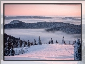 Wzgórza, Zima, Śnieg, Drzewa, Mgła