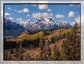 Wzgórza, Wyoming, Góry, Stany Zjednoczone, Szczyty, Drzewa, Absaroka Range