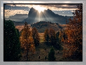 Jesień, Promienie, Wzgórze, Góry, Włochy, Świt, Krowy, Dolomity, Chmury, Słońca, Drzewa
