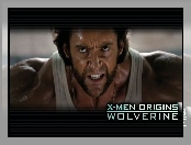 X_Men Wolverine Origins