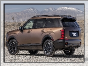 Hyundai Palisade, Pro, XRT