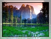 Stany Zjednoczone, Góry, Drzewa, Stan Kalifornia, Park Narodowy Yosemite, Łąka, Woda