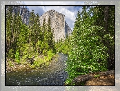 Merced River, El Capitan, Krzewy, Góra, Park Narodowy Yosemite, Kalifornia, Stany Zjednoczone, Rzeka, Drzewa