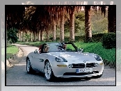 BMW Z8, Palmy