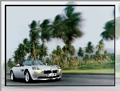 BMW Z8, Palmy