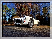 Zabytkowy, 1967, AC Cobra 427, Shelby