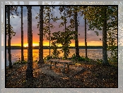 Drzewa, Stan Georgia, Stany Zjednoczone, Zachód słońca, Ławka, Jezioro West Point Lake