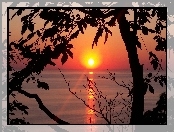 Zachód słońca, Jezioro Michigan, Drzewa